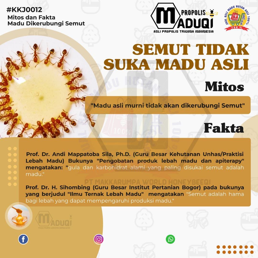 🐜 Benarkah Madu Asli Tidak Dikerubungi Semut? Ini Fakta Ilmiahnya!