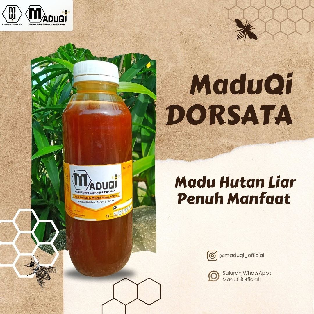 🐝 MaduQi Dorsata – Madu Hutan Premium dari Lebah Raksasa Apis Dorsata